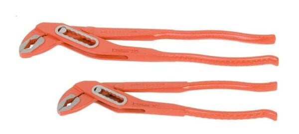 Super Ego Fort Pense , Papağan Pense 12'